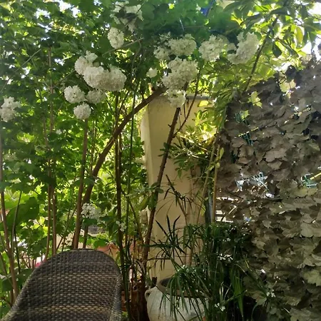 ζεστή φωλιά * Патра