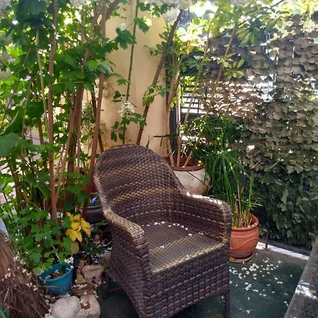 ζεστή φωλιά *