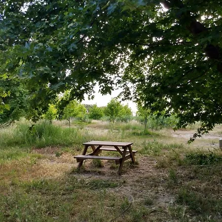 ζεστή φωλιά Διαμέρισμα Πάτρα