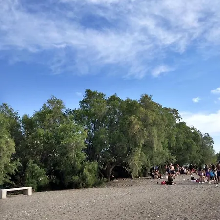 ζεστή φωλιά