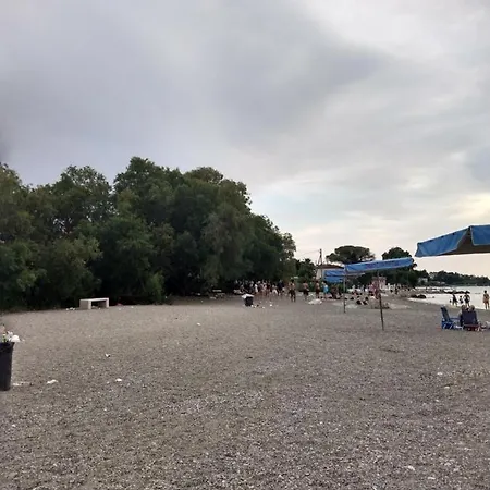 דירה ζεστή φωλιά *