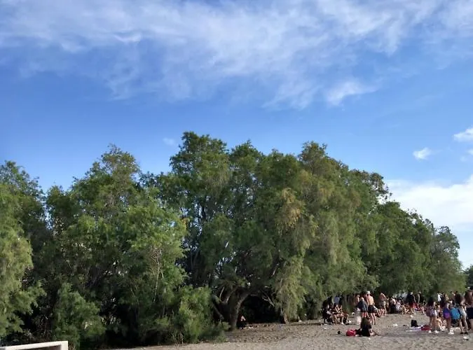 ζεστή φωλιά