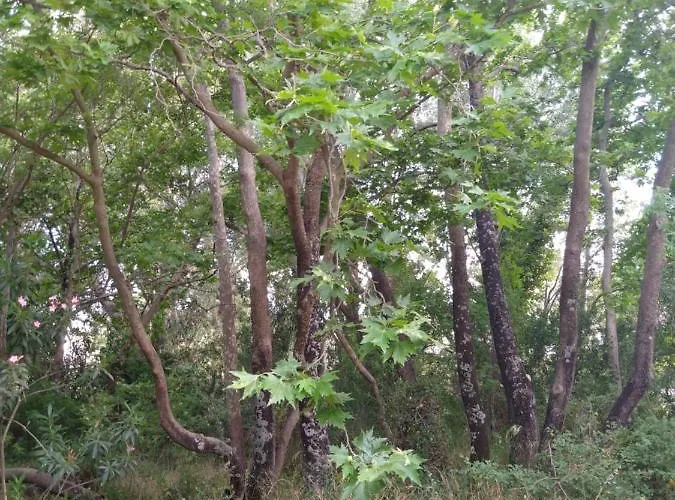 Apartment ζεστή φωλιά