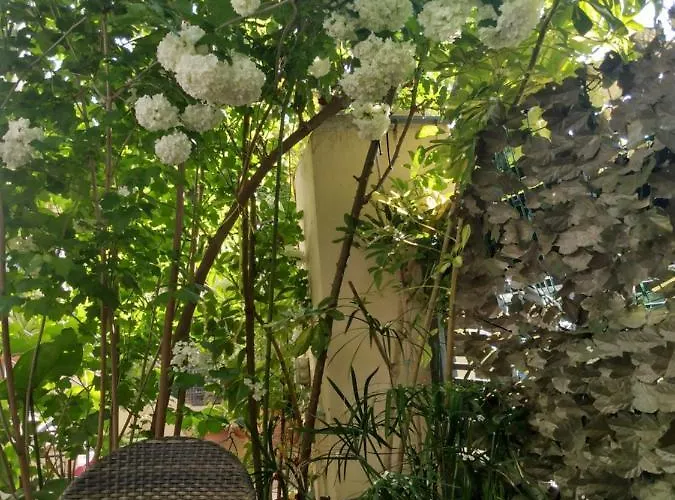 ζεστή φωλιά * Patras