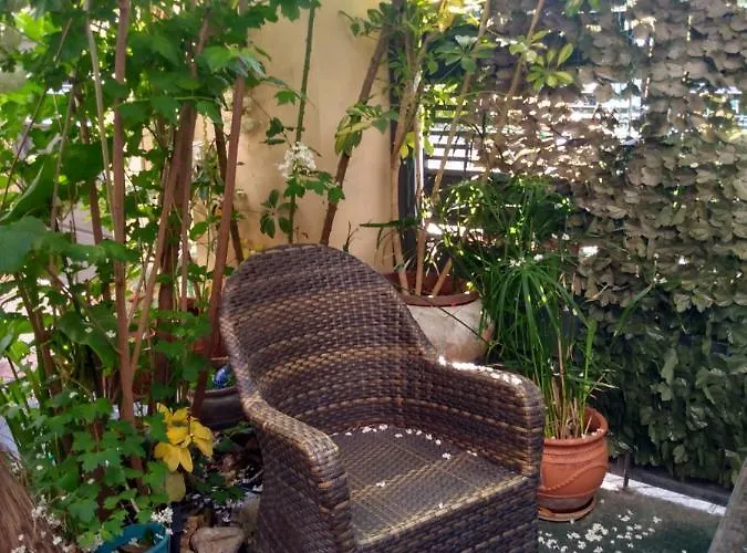 ζεστή φωλιά *