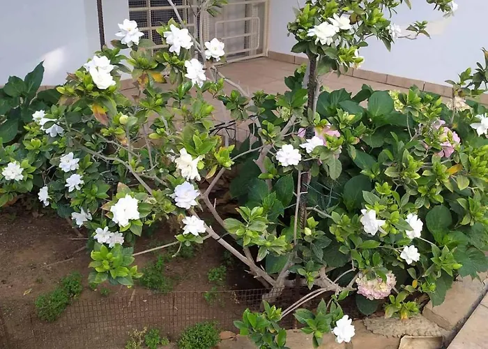 Apartmán ζεστή φωλιά